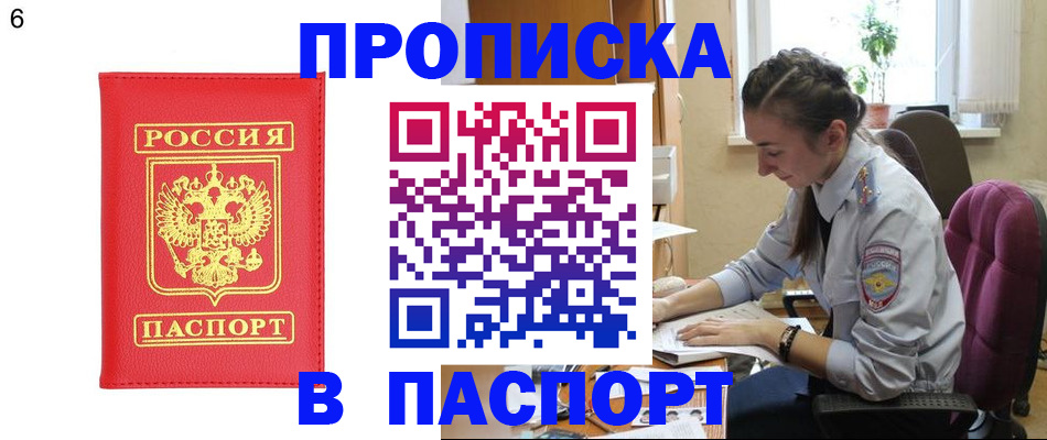 прописка гарантия в Новодвинске